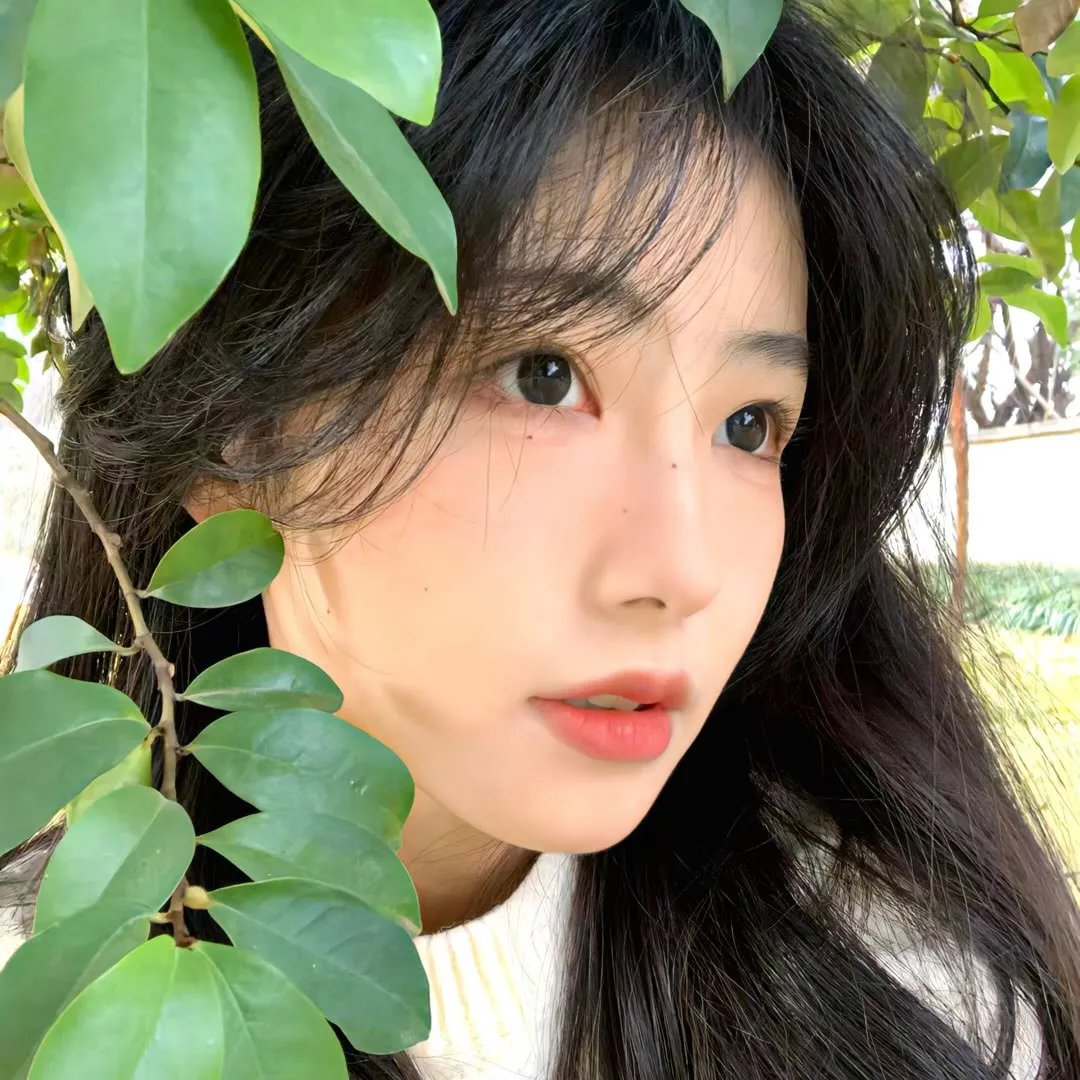 查理与天使